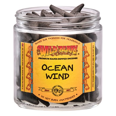 Ocean Wind Cones